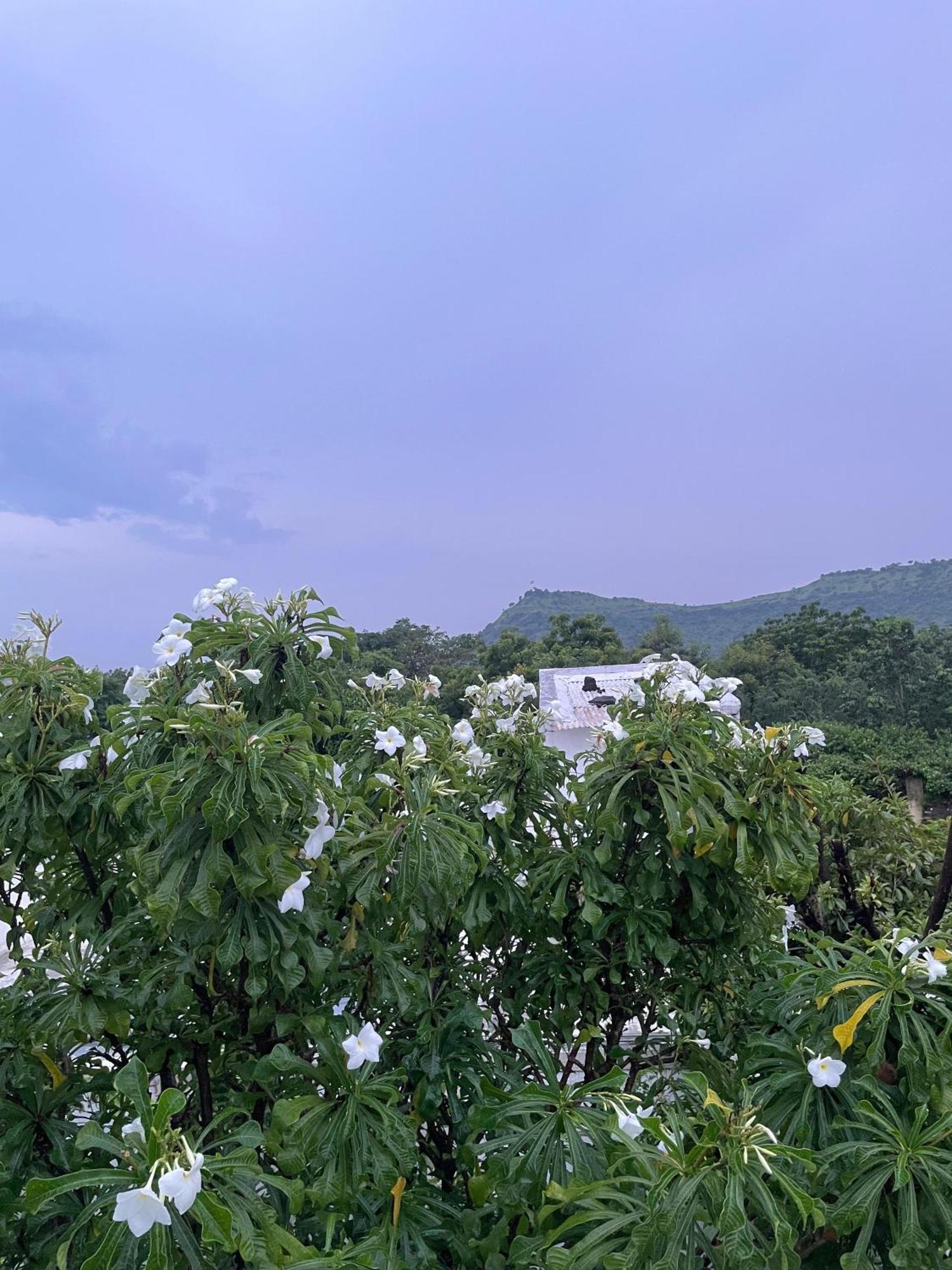 Private & Elegant 3Bhk Villa, Hillside Hideaway, 10 Mins From Mh Bus Stand Aurangabad  Exterior foto